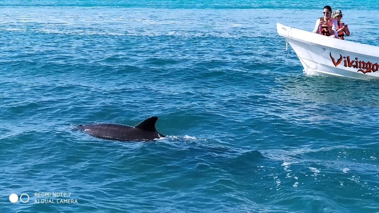 Отель Las Palapas De Пунта-Альен Экстерьер фото